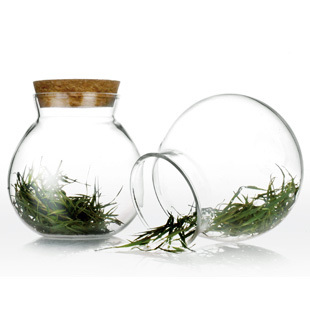 <b>���ع�</b>