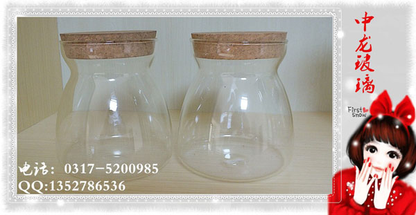 <b>���������</b>