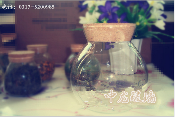 <b>���������</b>