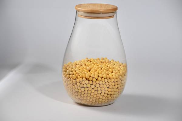 <b>���������</b>