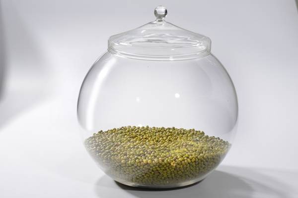 <b>���������</b>