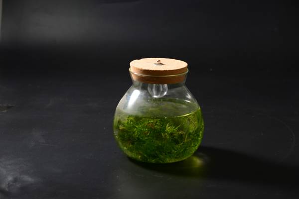 <b>���������</b>