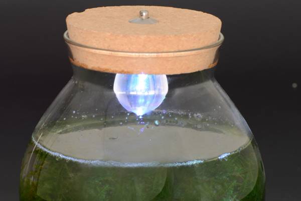 <b>���������</b>