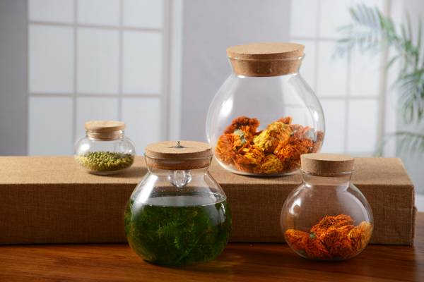 <b>���������</b>