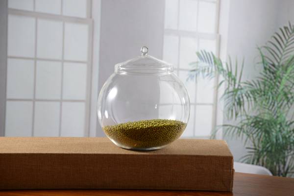 <b>���������</b>