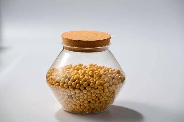 <b>���������</b>