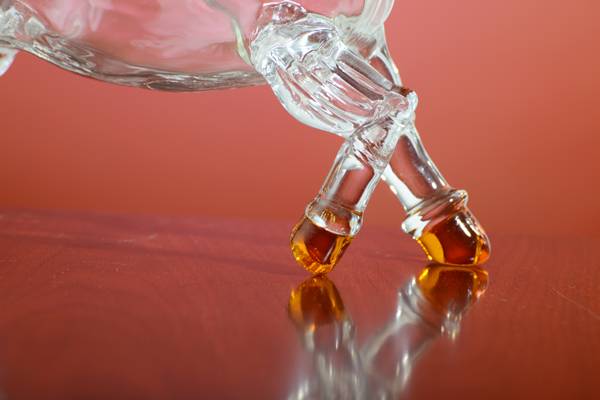 <b>���վ�ƿ</b>