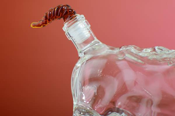 <b>���վ�ƿ</b>