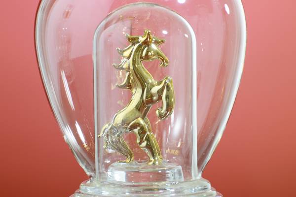 <b>���վ�ƿ</b>