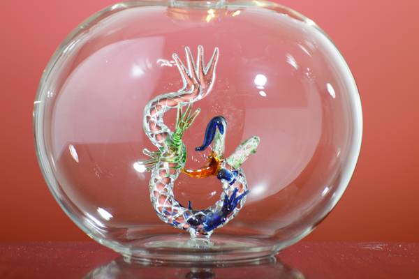 <b>���վ�ƿ</b>