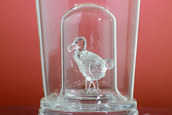 <b>���վ�ƿ</b>