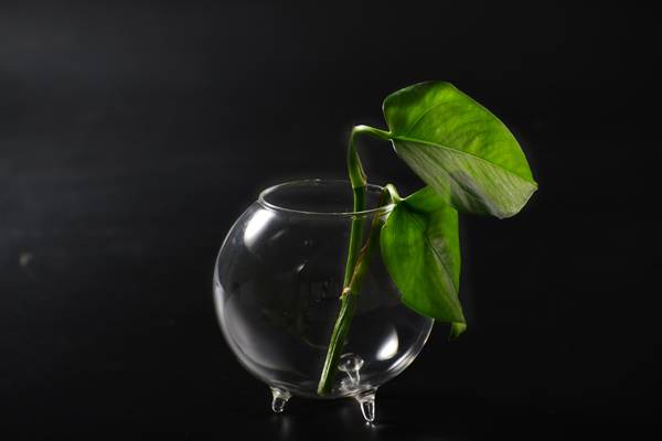 <b>������̨</b>